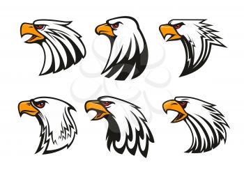 Bald Eagle icons set. Vector emblems of hawk with beak, harsh crying, furious glance. Falcon label for team mascot shield, badge, sport, guard, club identity label