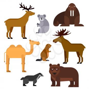 Wild animals flat cartoon isolated icons. Vector zoo emblems of walrus, koala, camel, elk, beaver, bear, deer, badger for infographic, kindergarten locker identity label, t-shirt