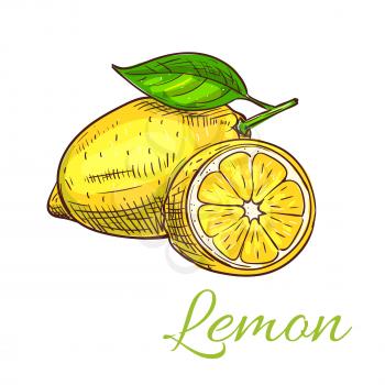 Lemon. Isolated citrus fruit whole and half slice with leaf. Lemon product emblem for juice or jam label, packaging sticker, grocery shop tag, farm store