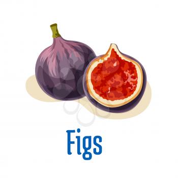 Fresh figs whole and half cut emblem. Vector color isolated elements of tasty exotic fig fruit. Design element for juice, jam sticker label, snack package design