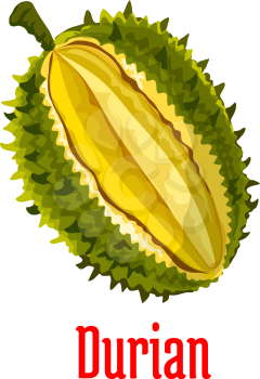 Durian. Vector isolated exotic tropical durian fruit icon. Durio slice cut along with fresh juicy unusual tasty pulp