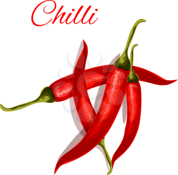 Chili hot pepper icon. Red spicy chili pepper pods. Vector isolated flat emblem elements for spice chili sauce packaging design, cuisine menu card decoration, grocery shop, food market tag