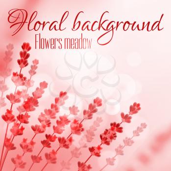 Floral background with flower meadow. Vector design for perfume, aroma therapy, soap, cosmetic, perfumery products. Provence field of blooming flowers on red blurred sunny background