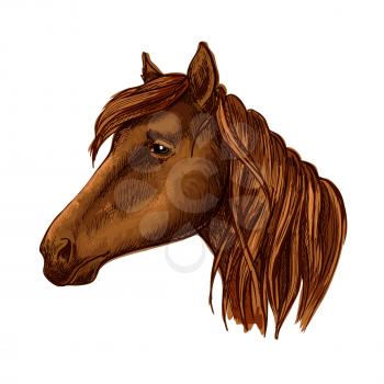 Brown horse head. Wild mustang muzzle with sad shiny eyes and wavy mane. Vector portrait