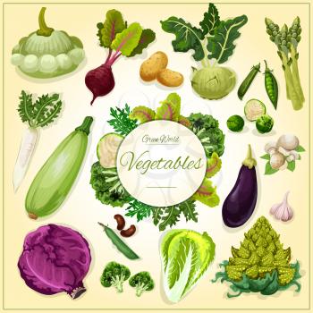 Vegetable, bean and mushroom cartoon poster. Fresh cabbage, eggplant, broccoli, beet, radish, garlic, champignon, potato, pea, zucchini, salad greens, asparagus, kohlrabi, brussel sprout, romanesco