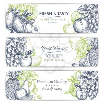 Fresh fruit sketch banner set. Tropical and garden fruits label with apple, orange, banana, grape, peach, pineapple, lemon, kiwi, pear and pomegranate with leaves and grapevine. Food and drink design