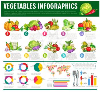 Vegetables infographics. Vector graph charts or diagrams of consumption, vitamines or veggies nutrition facts. Vegetarian healthy food statistics of squash, avocado and cabbage, beet, cucumber and tom