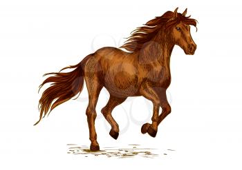 Horse horserace. Brown arabian mustang running or racing in gallop. Wild mare or stallion symbol for equine animal riding sport exhibition, contest or equestrian race club. Vector sketch