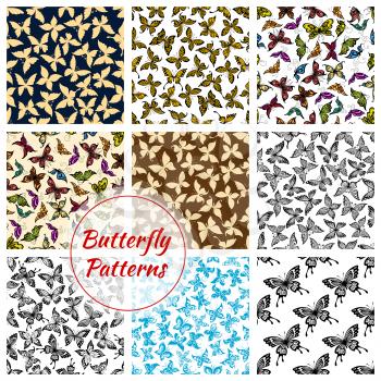 Butterflies pattern. Vector butterfly and moth insects. Exotic swallowtail with flittering wings, tropical monarch butterfly and hawk-moth, flying machaon and cabbage and luna batterfly. Seamless back