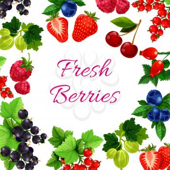 Berry with leaf poster or fruit food sign. Blueberry or bilberry, hurtleberry or huckleberry, whortleberry and blaeberry, currant and cherry, strawberry and gooseberry, raspberries. Agriculture or har