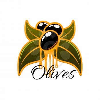 Olive oil dripping from fresh olives. Vector icon olive tree branch with green leaves and black ripe olive fruits. Isolated emblem or symbol for olive oil bottle label, vegetarian vegetable food, sala
