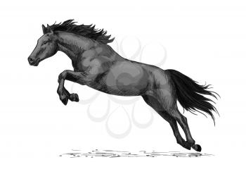 Horse or wild stallion running in gallop and jumping over. Black mustang trotter racer or racehorse vector symbol for equine sport races or rides, equestrian sport contest or exhibition