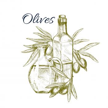 Olive fruit and oil sketch poster. Olive oil bottles, decorated by olive tree branches with fruits. Olive farm, food packaging, mediterranean cuisine recipe, healthy vegetarian nutrition design
