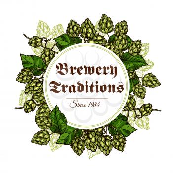 Hop vector poster of hops seed cones and flowers branches and green leaves harvest as flavoring ingredient of beer brewing for brewery company, pub or bar