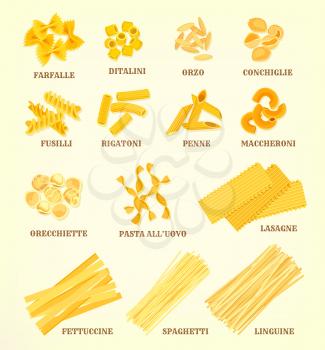 Pasta vector icons of italian farfalle or ditalini, orzo conchiglie and fusilli, rigatoni or penne, maccheroni and orecchiette, pasta all uovo or lasagne, fettuccine, spaghetti or linguine