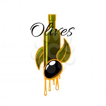 Olive oil of fresh black olives vector icon of bottle and dripping drops, olive-tree branch with green leaves and ripe olive fruits for olive oil product label or emblem