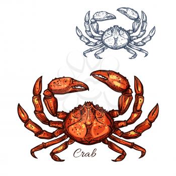Crab sketch vector icon. Lobster seafood and marine ocean or crustacean crayfish species. Isolated symbol for restaurant sign or emblem, fishing club or fishery industry, sea food and fish market