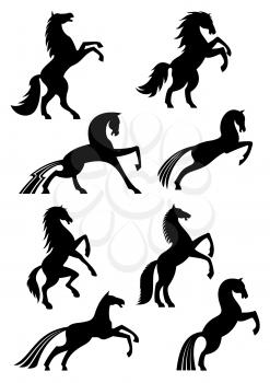 Horses icons or silhouettes of black heraldic equine emblems. Vector mustang racing, running or rearing and jumping or stomping hoof for horse sport races badge, equestrian rides or exhibition