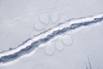 Royalty Free Photo of Traces on Snow