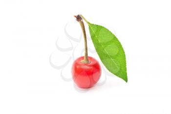 Royalty Free Photo of a Fresh Cherry