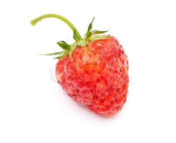 Fresh ripe strawberry 
