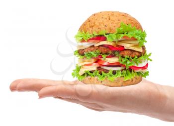 Hamburger in the hand