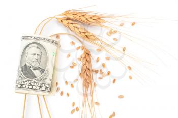 Wheat ears and money