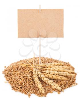 wheat grain with tag