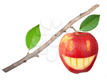 Dry branch with apple smile