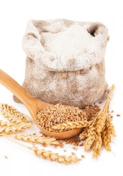 Flour in burlap bag with wheat grain