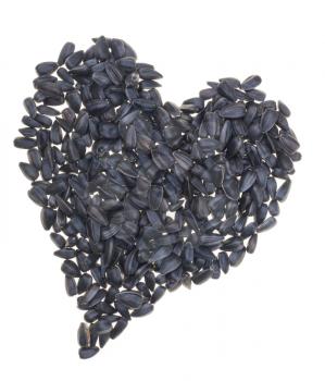 Sunflower seeds on white background. Heart