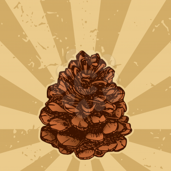 Royalty Free Clipart Image of a Pinecone on a Background