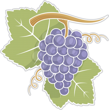 Royalty Free Clipart Image of Grapes