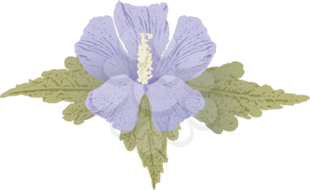 Royalty Free Clipart Image of a Mauve Hibiscus