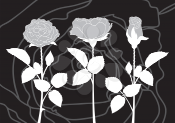 Royalty Free Clipart Image of a Roses on Black