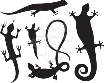 Royalty Free Clipart Image of Lizard Silhouettes