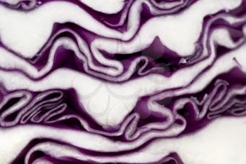 Cabbage background - extreme closeup of its cut