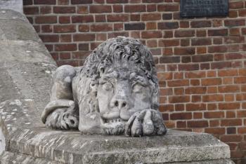 Beautiful lion made of stone