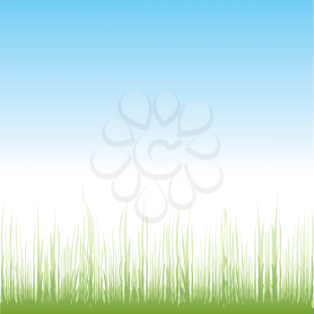 Royalty Free Clipart Image of Grass and Sky