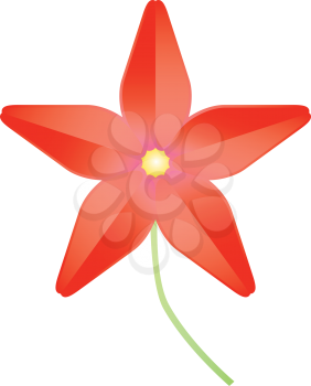 Royalty Free Clipart Image of a Star Flower