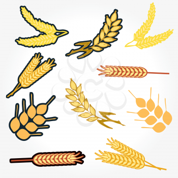 Royalty Free Clipart Image of Grains