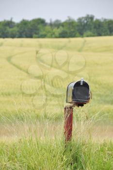 Royalty Free Photo of a Mailbox in a Field