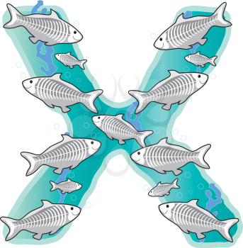 Royalty Free Clipart Image of a School of X-rayed Fish