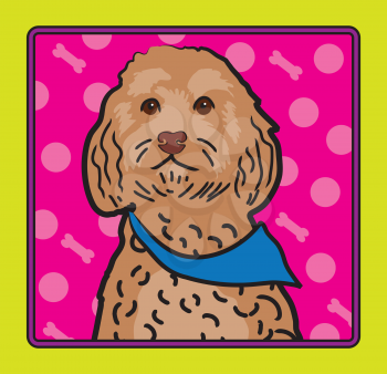 Royalty Free Clipart Image of a Cockapoo