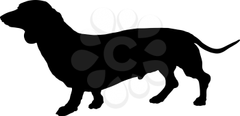 Royalty Free Clipart Image of a Silhouette of a Dachshund