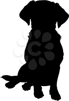 Royalty Free Clipart Image of a Puppy Silhouetted