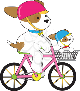 A couple of cute pups wearing their helmets, ride a bicycle with one as a passenger in the front carrier.