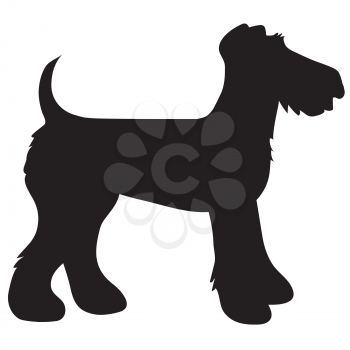 A cartoon black silhouette of an Airedale Terrier