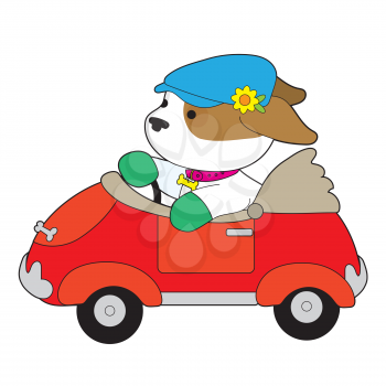 A cute puppy wearing a driving cap that has a flower on it is driving a red convertible