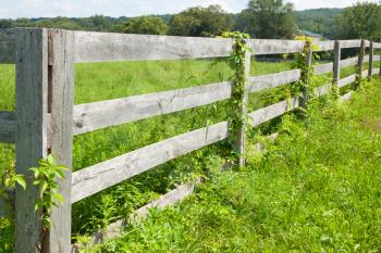 Royalty Free Photo of a Fenced Pasture